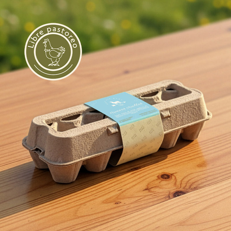 Huevos de pastoreo x 12