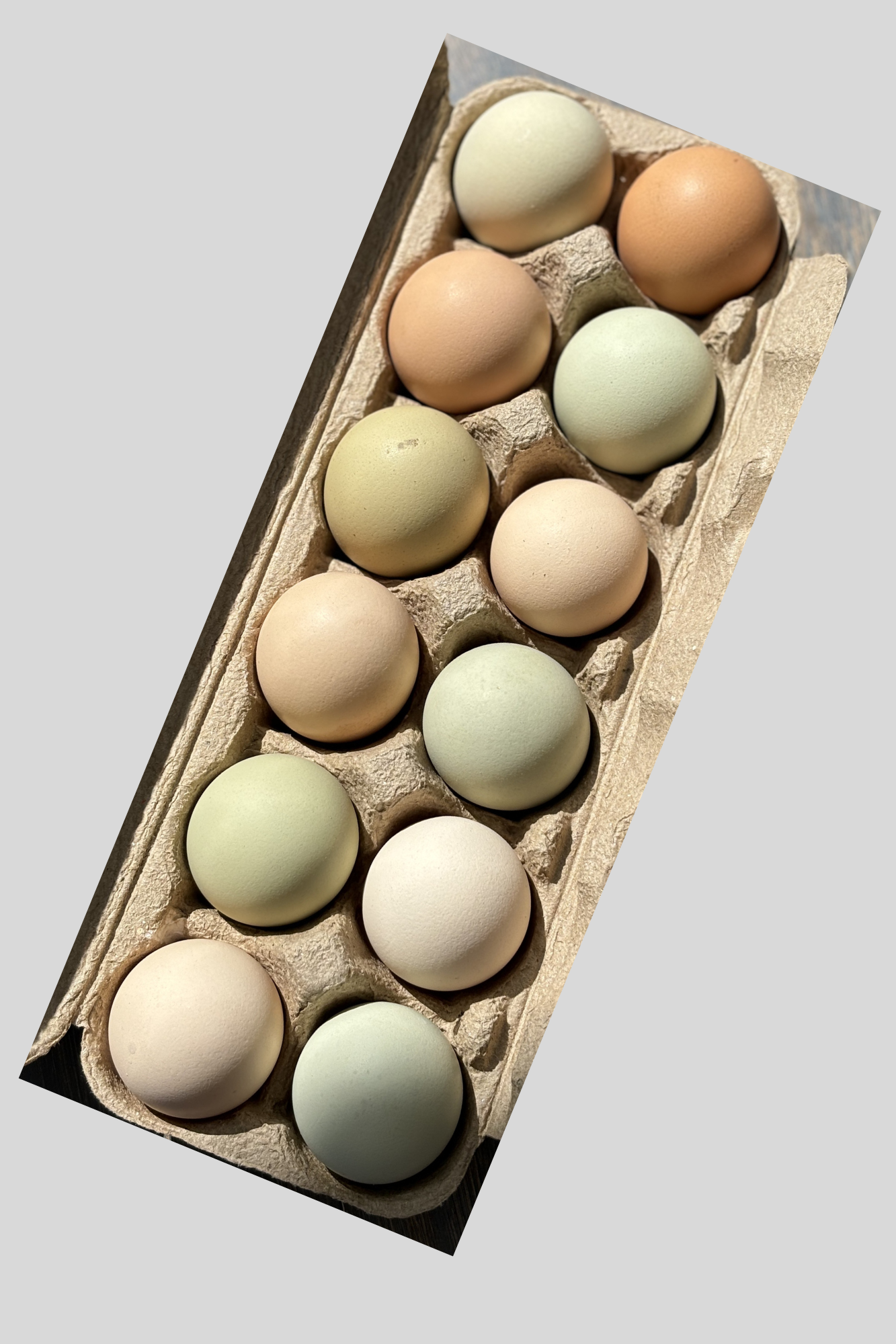 Huevos de pastoreo x 12