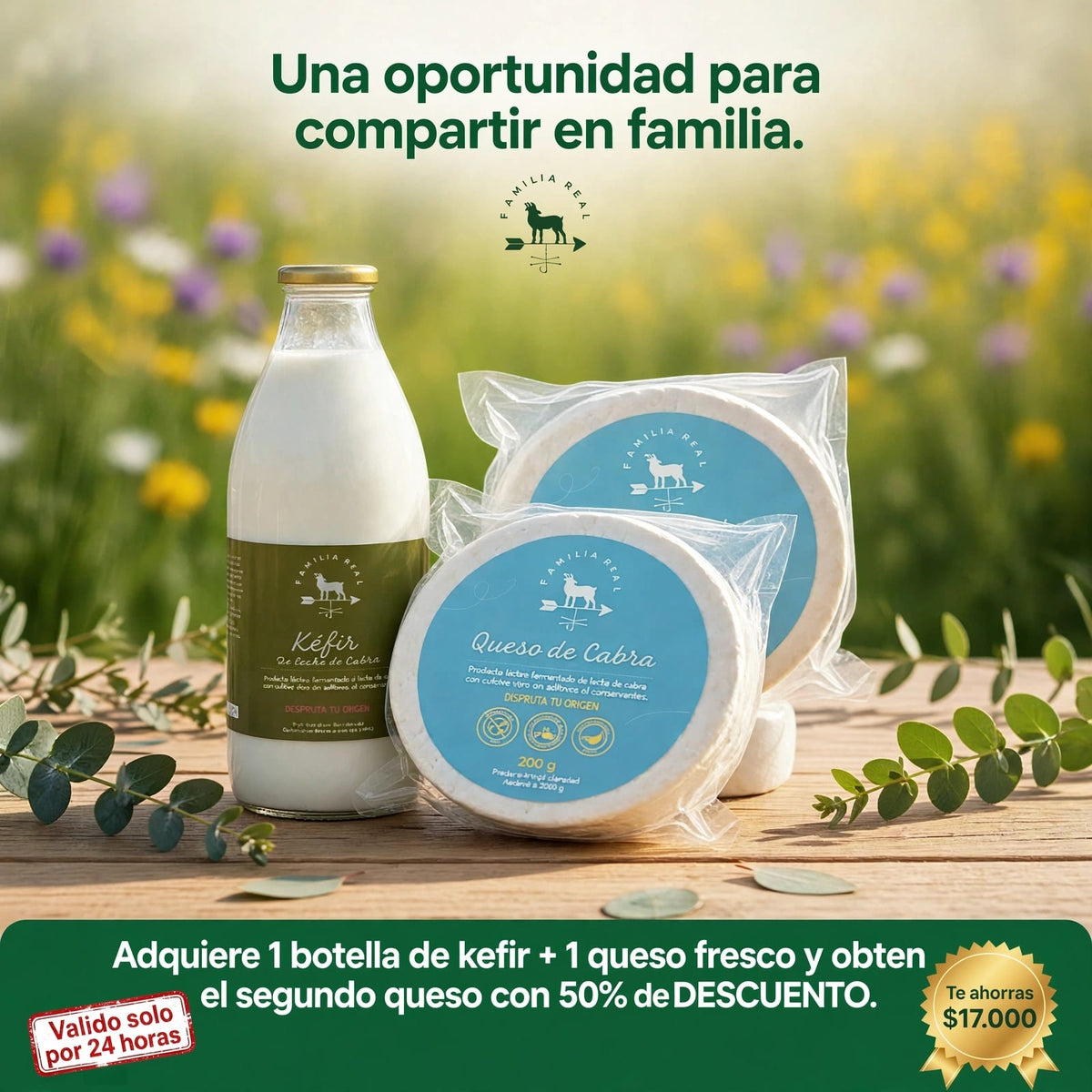 DESCUENTO 24 HORAS (DOBLE QUESO FRESCO + KÉFIR)