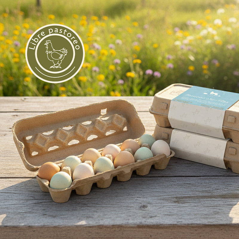 Huevos de pastoreo x 36