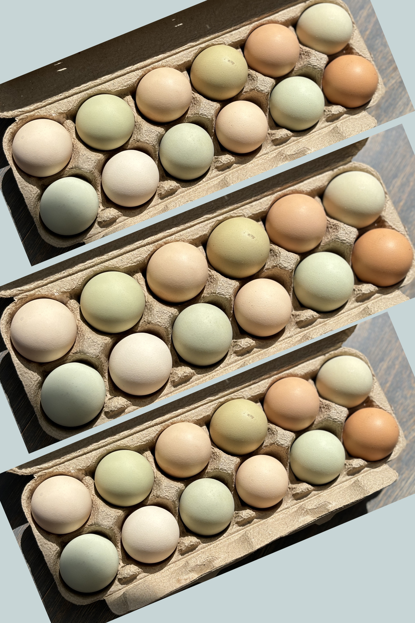 Huevos de pastoreo x 36