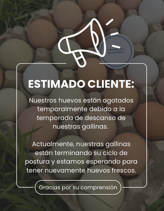 Huevos de pastoreo x 36